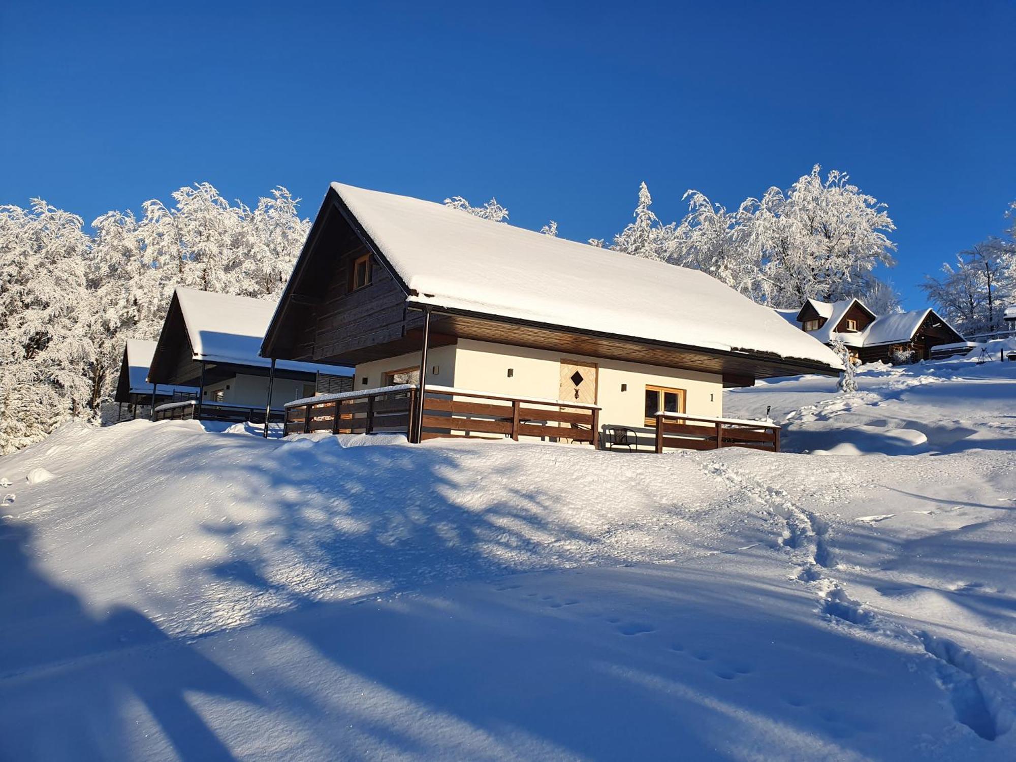 Chalet Szczyrkowe Zacisze Szczyrk